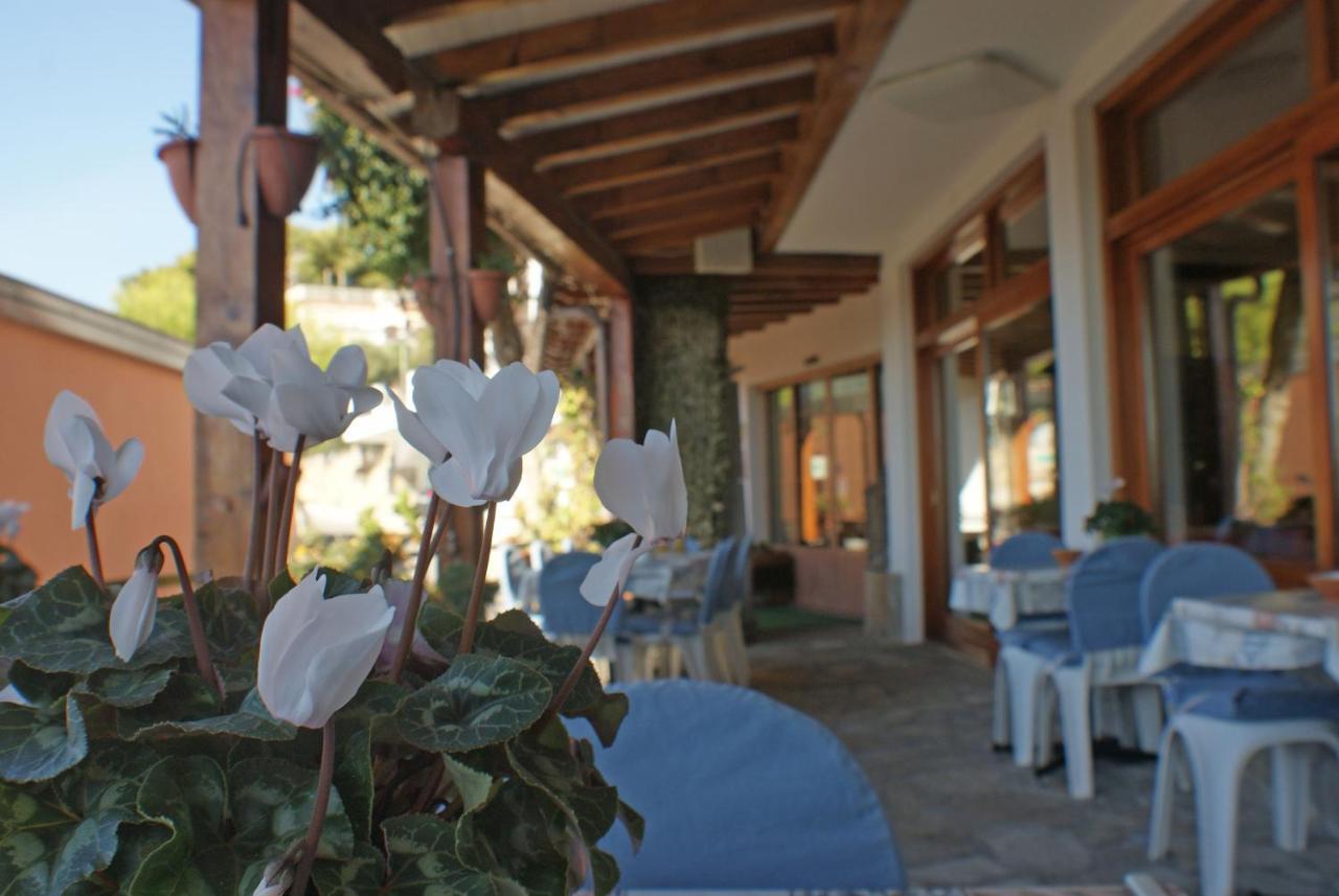 Hotel La Pineta 3*